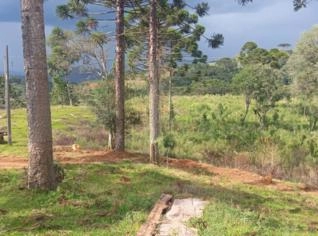 Fazenda em General Carneiro (PR) - 91 alqueires