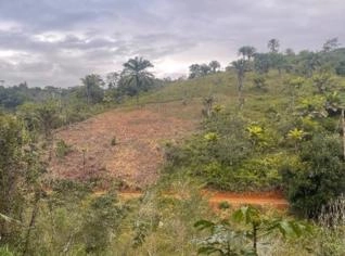 Lotes à venda em Ilhéus - Bahia
