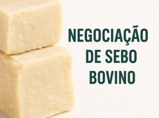 Compra de Sebo Bovino de Qualidade