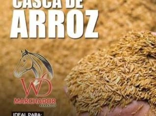 Palha de Arroz - Alta Qualidade