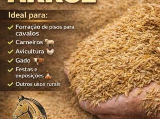 Palha de Arroz - Alta Qualidade