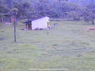 Sítio à Venda em Juquitiba, SP - Oportunidade Única
