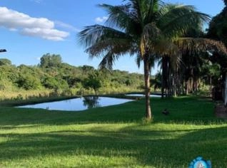 Chácara em Ainhanduí - Mato Grosso do Sul