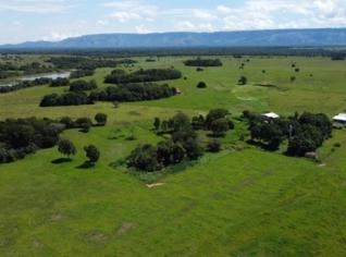 Fazenda em Cuiabá - MT, 250 Ha, Ideal para Pecuária