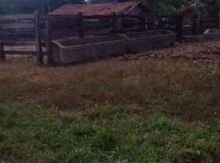 Linda fazenda em Niquelândia à venda