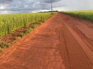 Fazenda em Cocalinho - MT com 2.534,88 hectares