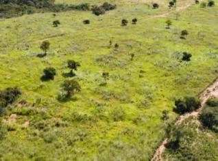 Magnífica Fazenda em Arinos - 366 Hectares