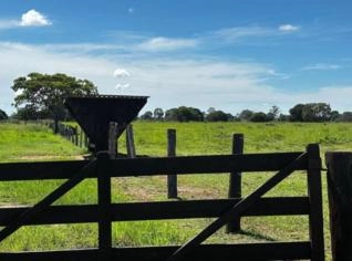 Fazenda em Mozarlândia - 305 Alqueires