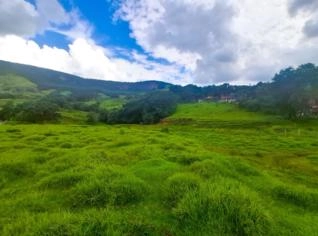 Terreno em Socorro - Área de 48.400m² para Investimento