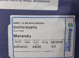 Sementes de Pastagem - Curvelo, MG