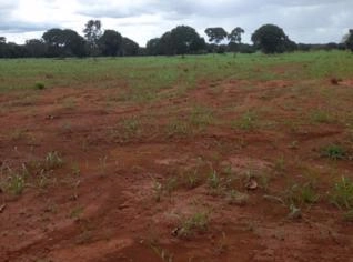 Fazenda Produtiva em Unaí - 498 Hectares