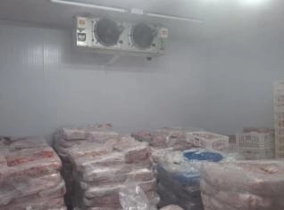 Frigorífico em Campo Largo: Oportunidade Imperdível