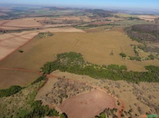 Fazenda de 325 ha em Sacramento - Alta Fertilidade