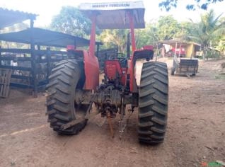 Trator Massey Ferguson 290 à venda