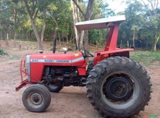 Trator Massey Ferguson 290 à venda
