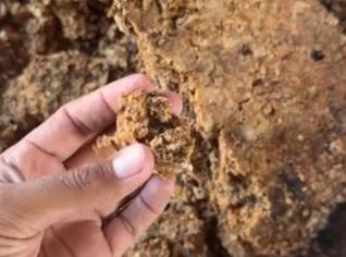 Massa de Sebo Bovino Frito e Óleo -  Sanclerlândia, GO