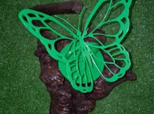 Borboleta Verde Artesanal - Bonfinópolis