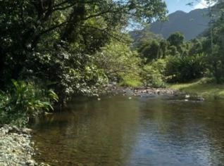 Área de Preservação - Joinville/SC