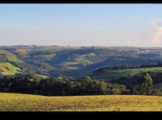 Fazenda no Paraná - 150 alqueires à venda