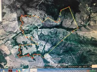 Fazenda em Pontalina-GO com 40 Alqueires e Água Abundante