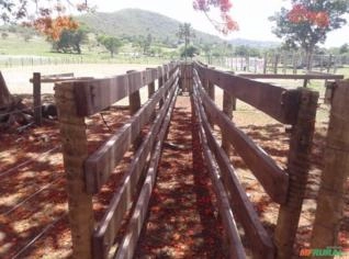 Fazenda em Pontalina-GO com 40 Alqueires à venda