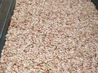 Cavacos de Eucalipto em Castilho SP