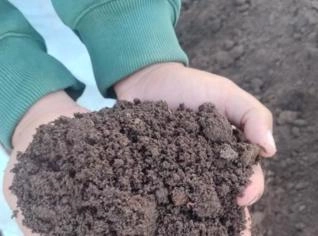 Húmus de Minhoca Puro - Adubo Orgânico