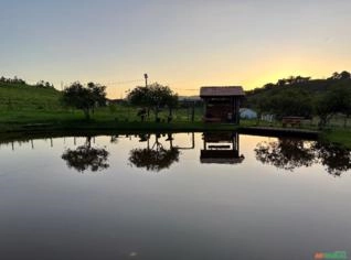 Sítio Completo em Jacutinga - Ideal para Pecuária