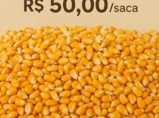 Milho em Grão - R$ 50,00 por Saca