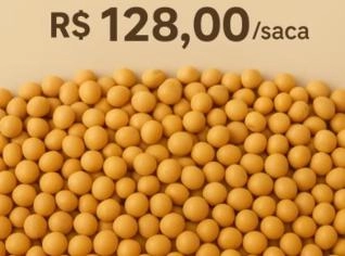 Soja em Grão - R$ 128,00/saca em Cuiabá - MT