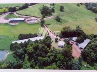 Granja de Suínos em Seara-SC: 12,55 ha e renda garantida