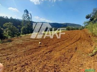 Granja de Suínos em Seara-SC: Oportunidade Única