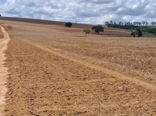 Fazenda em Campo Alegre/GO com 154 Alqueires