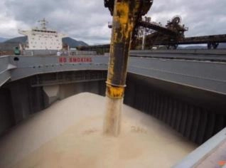 Açúcar IC45 para Exportação