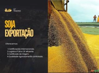 Soja para Exportação - Santos, SP