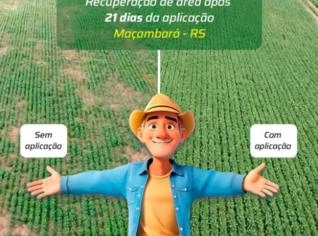 Fertilizante Protecsil Líquido - Silicato de Potássio