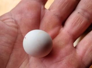 Lonsdaleite Diamond - Raro em Goiânia