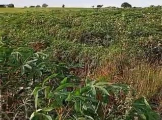 Terreno Rural em Indianápolis - PR