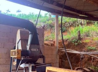 Despolpadeira de Café Semi Nova