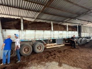 Caroço de Açaí Biomassa para Combustão