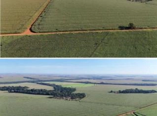 Fazenda em Rio Verde - 52 hectares a Venda