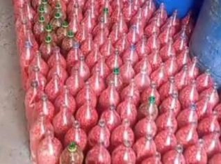 Pimenta bico fresca no atacado - Jaíba, MG