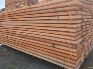 Prancha de Eucalipto - 3,0m x 3,5cm - Criciúma