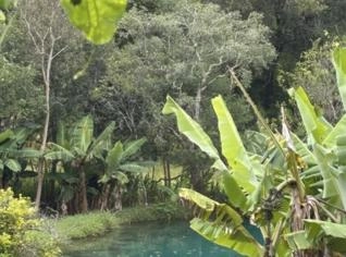 Chácara em Cambuí - MG