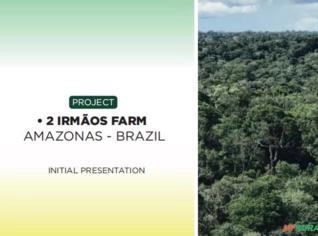 Oportunidade de Jazida de Ouro no Amazonas