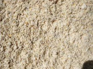 Gérmen de Milho Gordo - Alimentos para Nutrição Animal