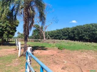 Chácara em Parisi SP à venda