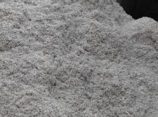 Caroço de Algodão - Nutrição Eficiente para Ruminantes