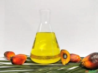 Óleo de palma RBD - Goiânia/GO