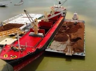 Caroços de Açaí para Biomassa - Sustentabilidade